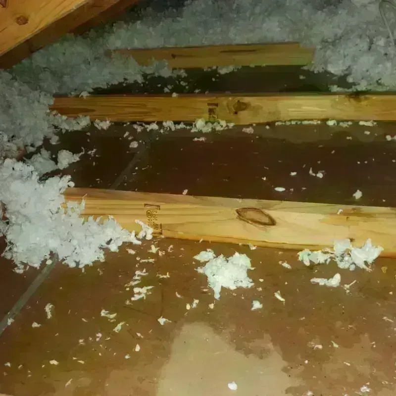 Attic Water Damage in Moulton, AL